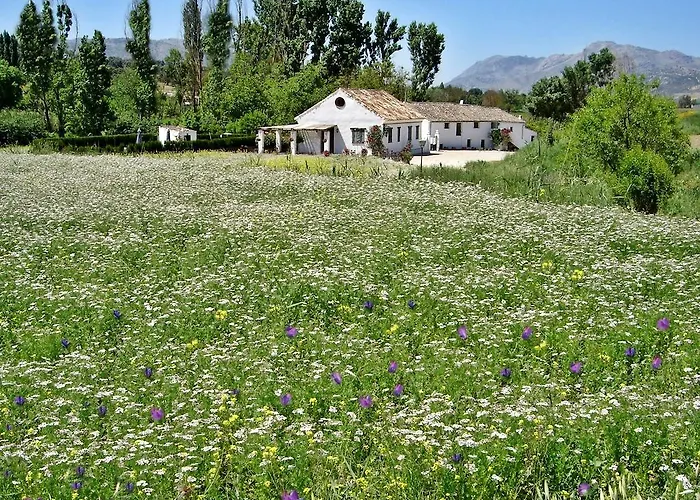 Retama Ронда